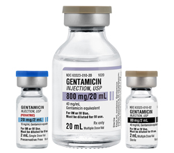 Gentamicin Injection, USP 