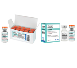 Glucagon for Injection (Synthetic) 